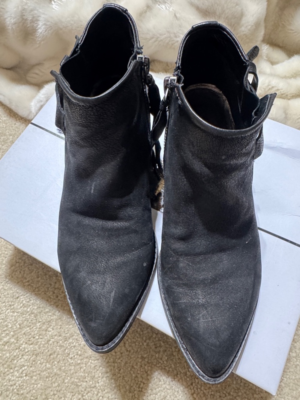 Dolce Vita Black Leather Ankle Booties with Side Buckle - Picture 5 of 7